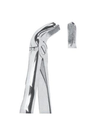 Extracting Forceps – Mead Pattern