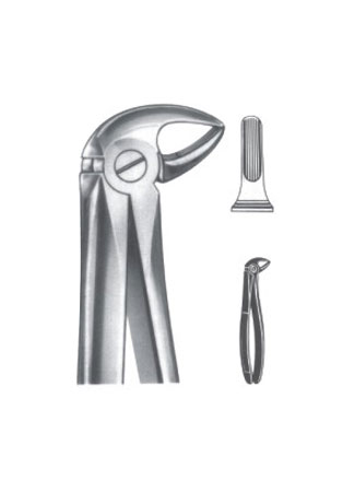 Extracting Forceps – English Pattern