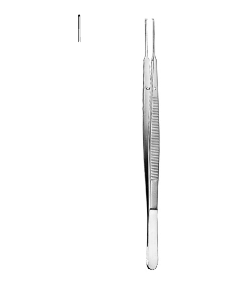 Dissecting Forceps (Copy)