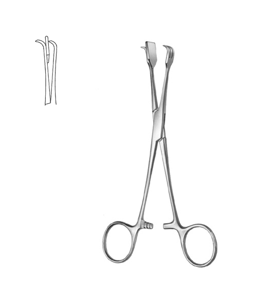 FBTI-lift Forceps