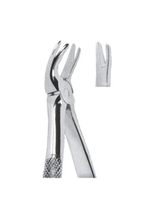 Extracting Forceps – English Pattern