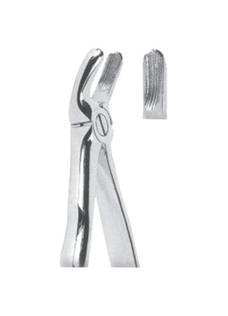 Extracting Forceps – Mead Pattern